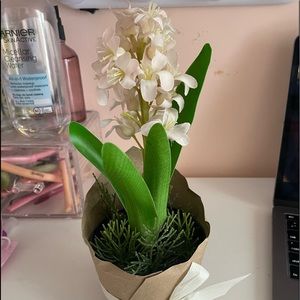 Fake plant from ikea